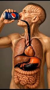 What Happens When You Drink Soda on an Empty Stomach.