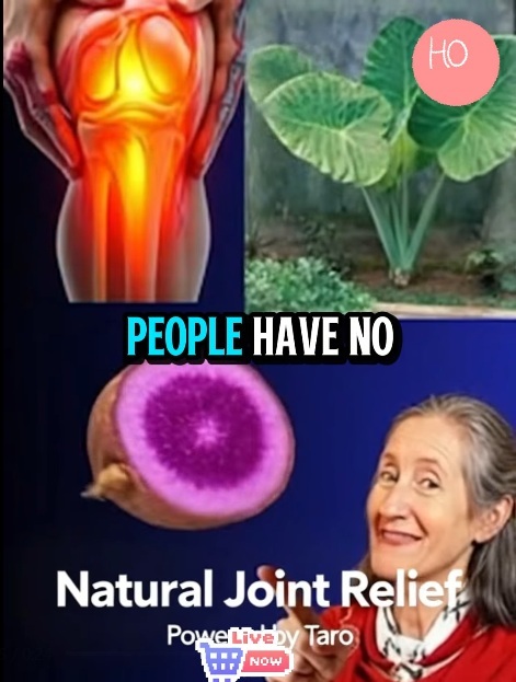 Most People Don’t Know How Powerful This Taro Root Is