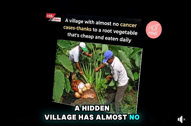 News: A Village With Strikingly Low Cancer Rates — And Their Secret Is a Humble Root Vegetable
