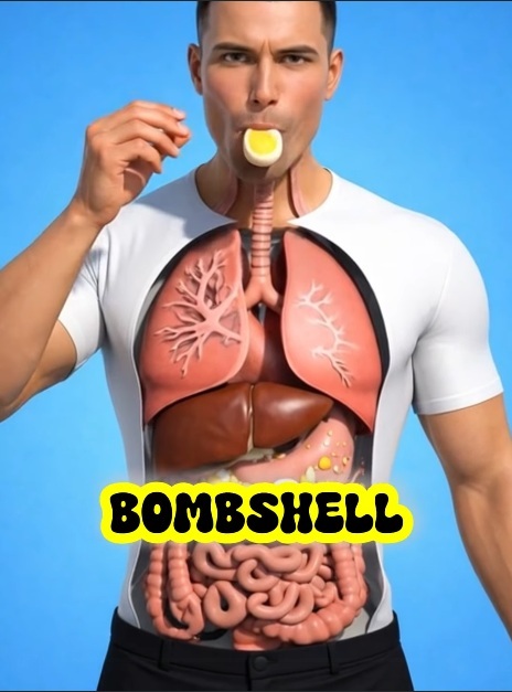 Doctors Reveal the Truth About Eating Eggs: Cause for Concern or Powerful Superfood?